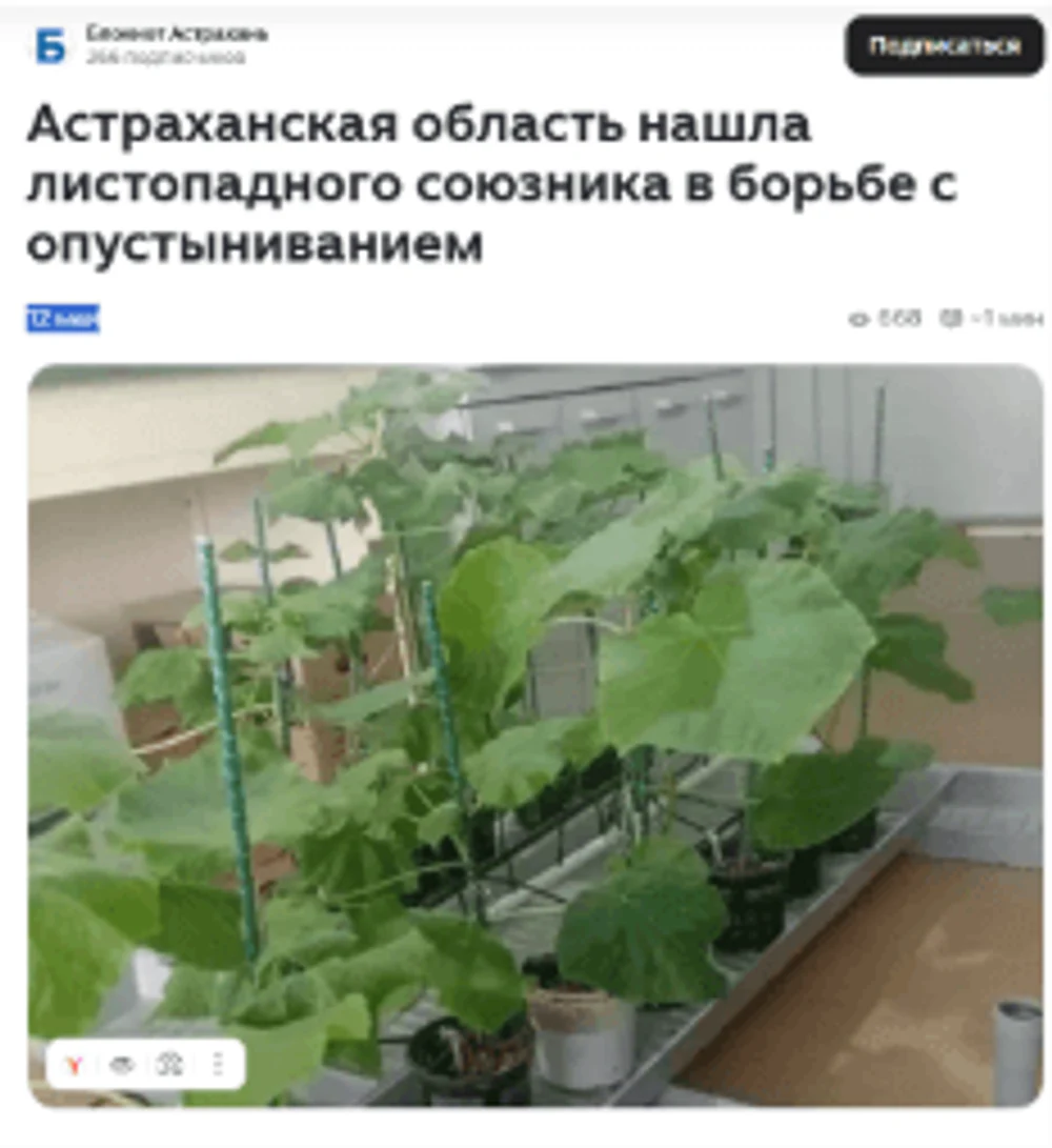 12.05.2026
Астраханская область нашла листопадного союзника в борьбе с опустыниванием